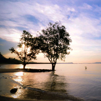 无限循环呼叫手机号软件